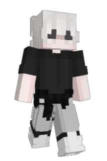 ToNieBaton_ Minecraft avatar full body