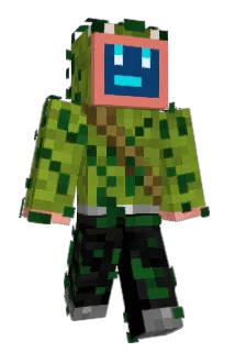 Toad0Net Minecraft avatar full body