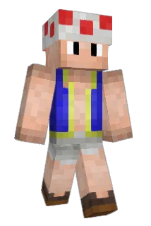 Toad Minecraft avatar full body