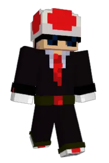 ToadEatSock Minecraft avatar full body