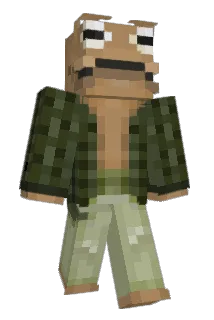 ToadIQ Minecraft avatar full body