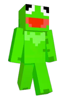 Toaderr_ Minecraft avatar full body
