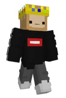 Toasted2209 Minecraft avatar full body