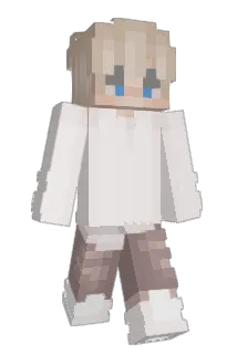 ToastedMC Minecraft avatar full body