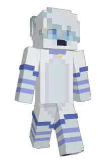 ToasterWonder Minecraft avatar full body
