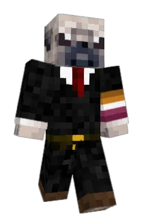 Toastmanthe3rd Minecraft avatar full body