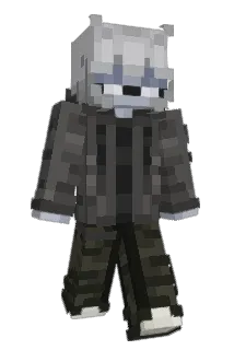 Toasty241 Minecraft avatar full body