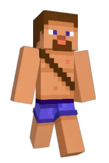ToastyBuns890 Minecraft avatar full body