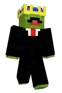 Tob223 Minecraft avatar full body
