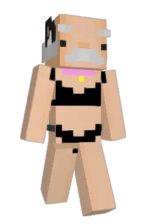 TochaDelaS Minecraft avatar full body