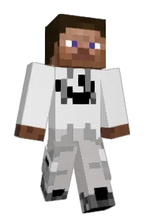 Tocki2231 Minecraft avatar full body