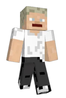 TodesninjaTNG Minecraft avatar full body