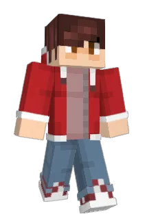 Tods3n Minecraft avatar full body