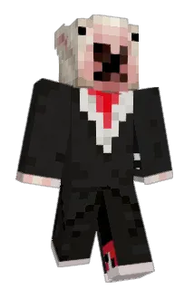 Toe_TV Minecraft avatar full body