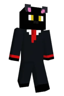 Toeco Minecraft avatar full body