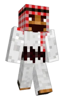 Toempologe Minecraft avatar full body