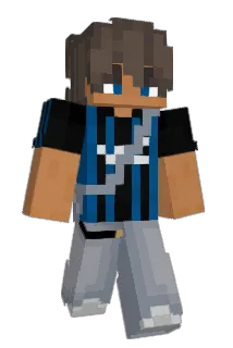 Toestaan Minecraft avatar full body