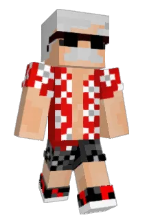 Togz2172 Minecraft avatar full body