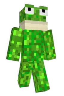 Toinou1709 Minecraft avatar full body