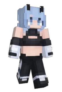 Toix22 Minecraft avatar full body