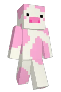 Tojza Minecraft avatar full body