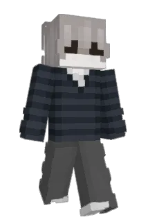 Tokarewicz Minecraft avatar full body