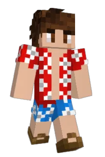 Tokopisco Minecraft avatar full body