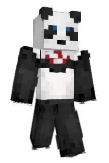 Tokyboky Minecraft avatar full body