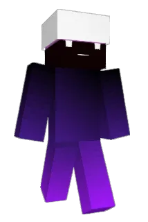 TokyoRice Minecraft avatar full body