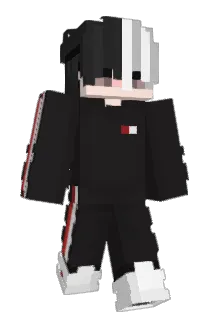 Tollwut27 Minecraft avatar full body