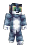 Tom4540 Minecraft avatar full body