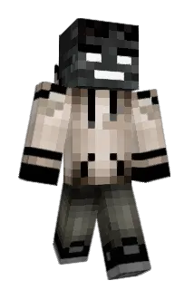 Tom800 Minecraft avatar full body