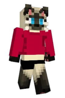 TomCat300 Minecraft avatar full body