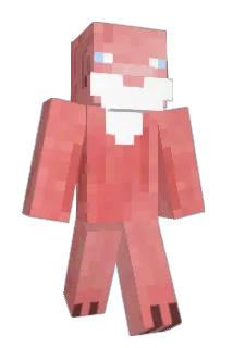 TomTee22 Minecraft avatar full body