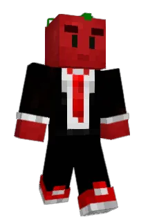 Tomako333 Minecraft avatar full body