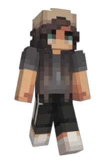 Tomandooo Minecraft avatar full body