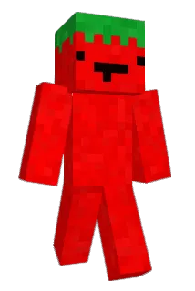 TomasTomado Minecraft avatar full body