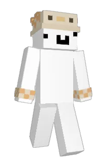 Tomasz_gdz Minecraft avatar full body