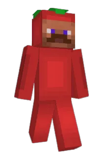 Tomate2206 Minecraft avatar full body