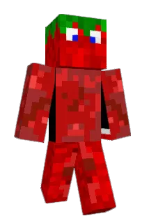 Tomatensalz Minecraft avatar full body