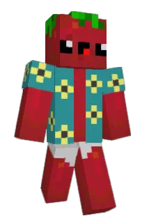 Tomatochip11 Minecraft avatar full body
