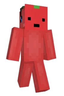 Tomatowhy Minecraft avatar full body