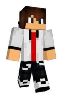TomcatD Minecraft avatar full body