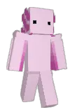 Tomdih Minecraft avatar full body