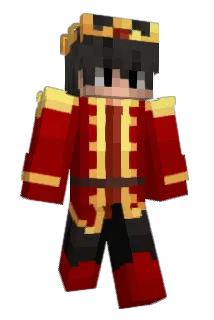 Tomer444 Minecraft avatar full body