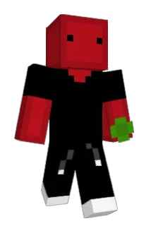 TomerTomer Minecraft avatar full body