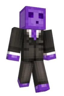 Tomgah Minecraft avatar full body