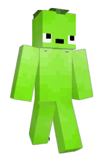 Tomi22 Minecraft avatar full body