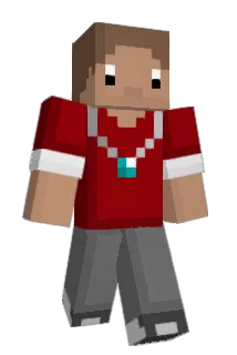 Tomio01 Minecraft avatar full body