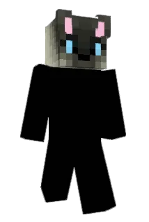 Tomkooeu1 Minecraft avatar full body